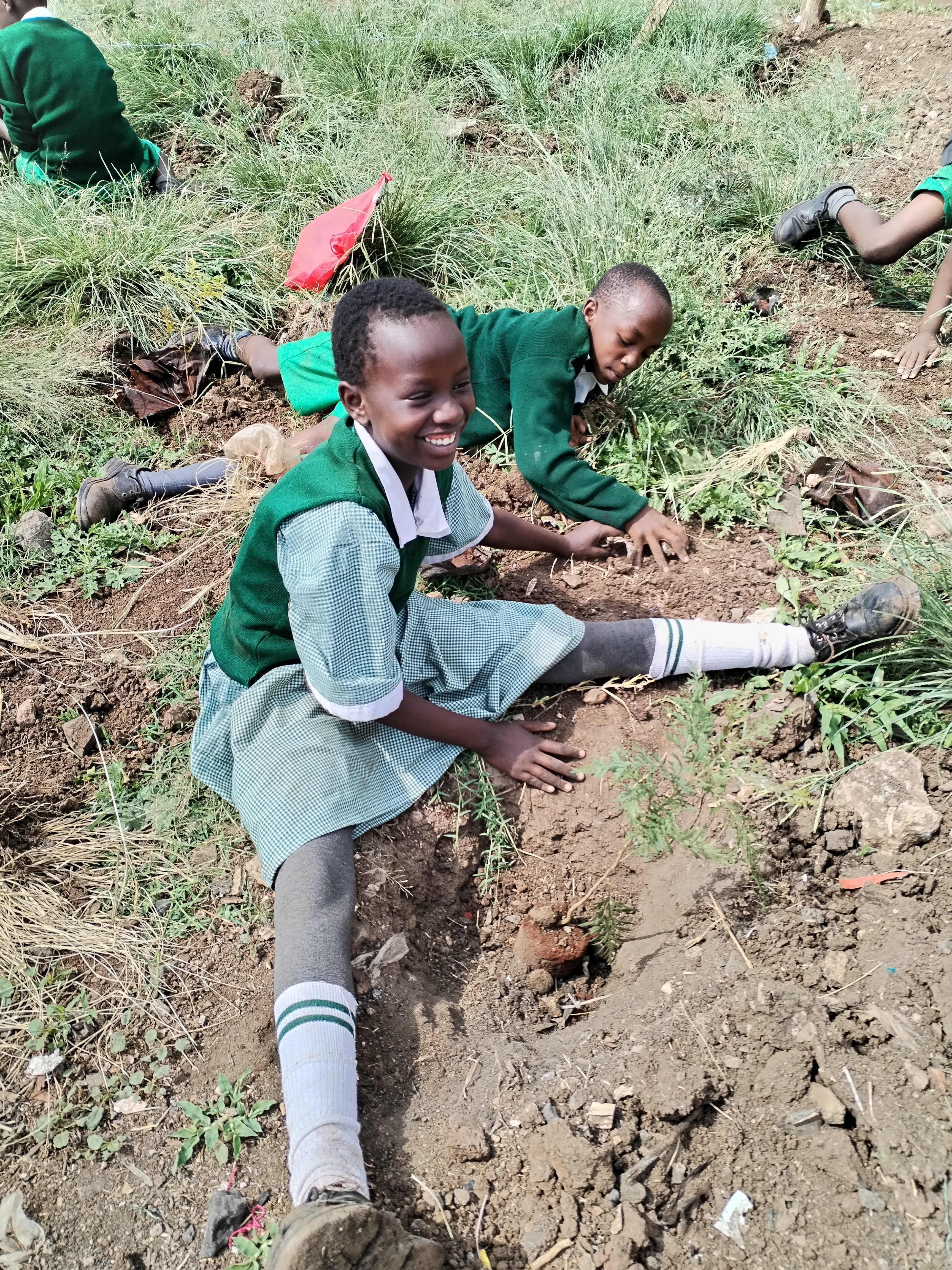 Tree Planting